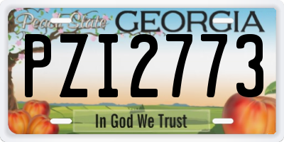 GA license plate PZI2773