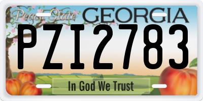 GA license plate PZI2783