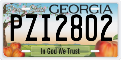 GA license plate PZI2802