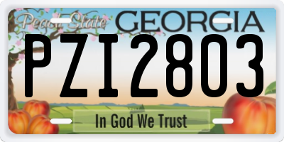 GA license plate PZI2803