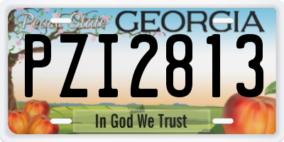 GA license plate PZI2813