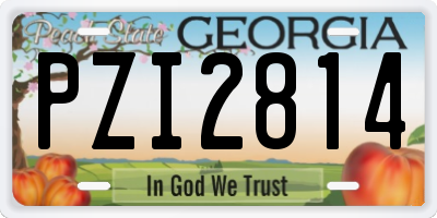 GA license plate PZI2814
