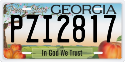 GA license plate PZI2817
