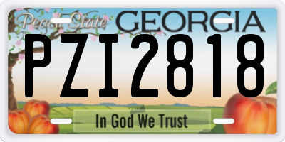 GA license plate PZI2818
