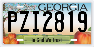 GA license plate PZI2819