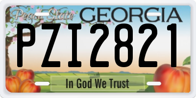 GA license plate PZI2821