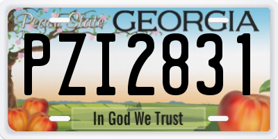 GA license plate PZI2831