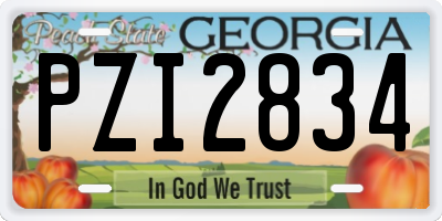 GA license plate PZI2834