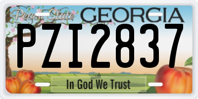 GA license plate PZI2837