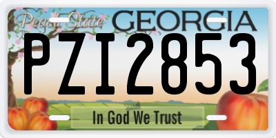 GA license plate PZI2853