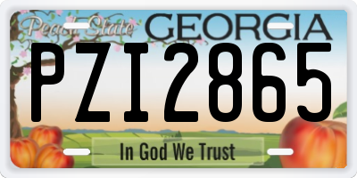 GA license plate PZI2865
