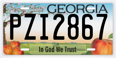 GA license plate PZI2867