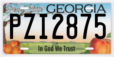 GA license plate PZI2875