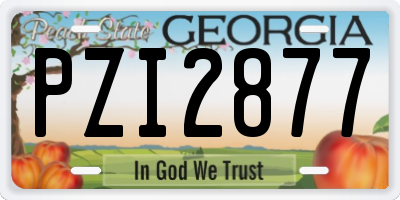 GA license plate PZI2877