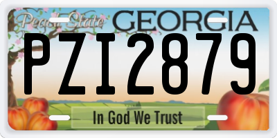 GA license plate PZI2879