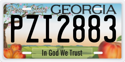 GA license plate PZI2883