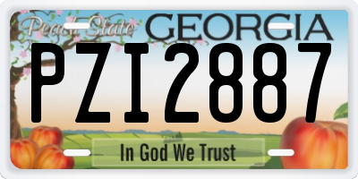 GA license plate PZI2887
