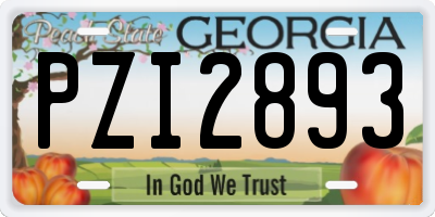 GA license plate PZI2893