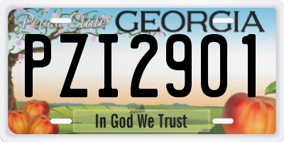 GA license plate PZI2901