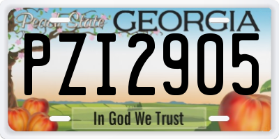 GA license plate PZI2905