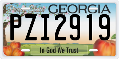 GA license plate PZI2919