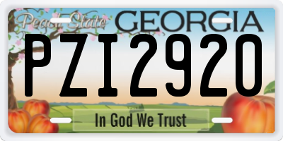 GA license plate PZI2920