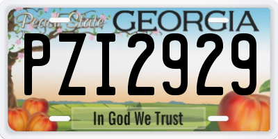 GA license plate PZI2929