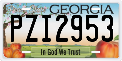 GA license plate PZI2953
