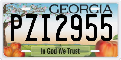 GA license plate PZI2955