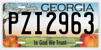 GA license plate PZI2963
