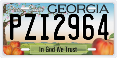 GA license plate PZI2964