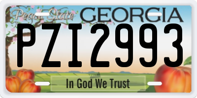 GA license plate PZI2993