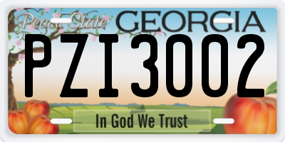 GA license plate PZI3002