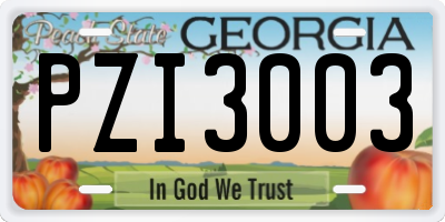 GA license plate PZI3003