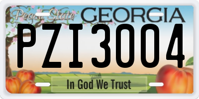GA license plate PZI3004
