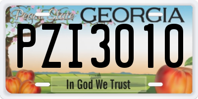 GA license plate PZI3010