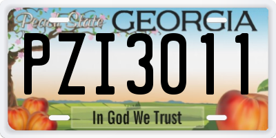 GA license plate PZI3011