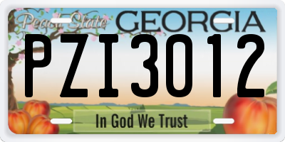 GA license plate PZI3012