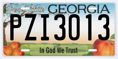 GA license plate PZI3013