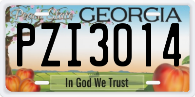 GA license plate PZI3014