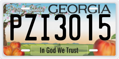 GA license plate PZI3015