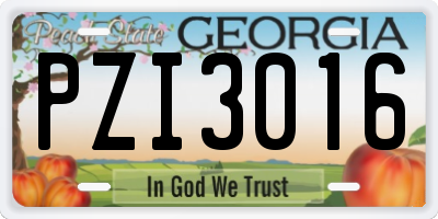 GA license plate PZI3016