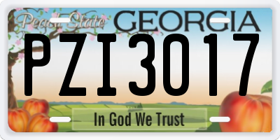 GA license plate PZI3017