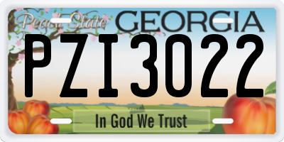 GA license plate PZI3022