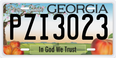 GA license plate PZI3023