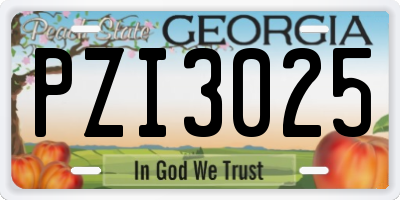 GA license plate PZI3025