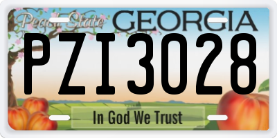 GA license plate PZI3028