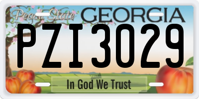GA license plate PZI3029