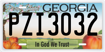 GA license plate PZI3032