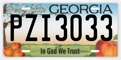 GA license plate PZI3033